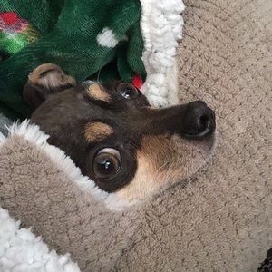 Meet your Posher, Maria